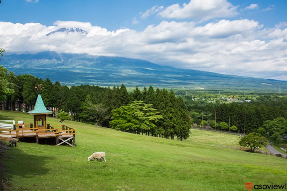 まかいの牧場でグランピング 日本一富士山が美しい牧場を賢く楽しむ方法 教えます Pr