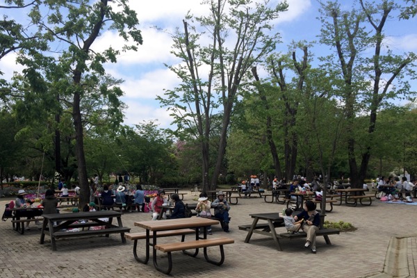 割引あり ふなばしアンデルセン公園の魅力を徹底解剖 イルミや花見などオススメの過ごし方