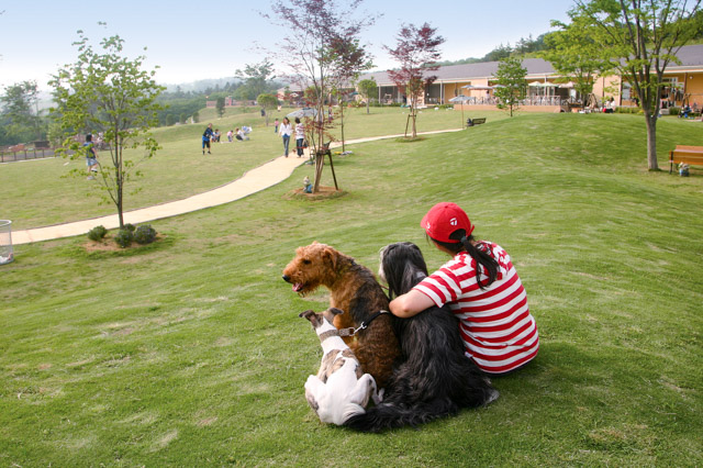犬 と 行ける 遊園 地