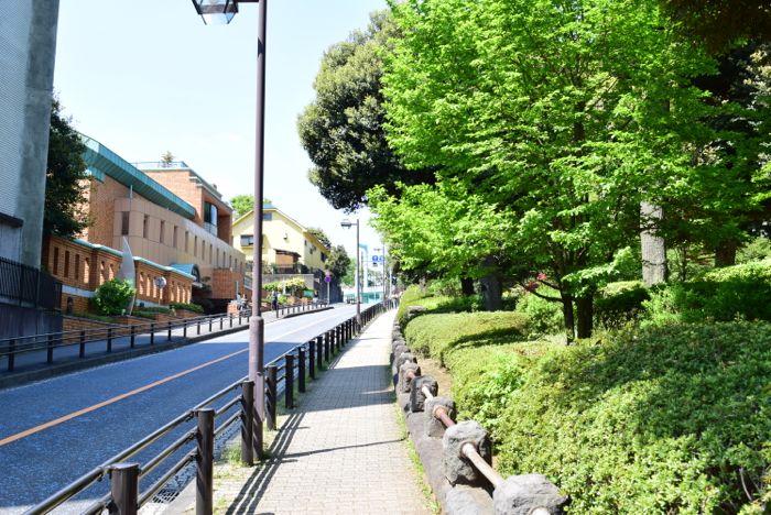 野毛山動物園 は入園無料でここまで楽しめる魅力的なスポットだった