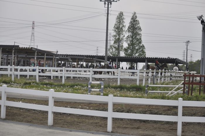 東武動物公園 チケット 乗り物情報も 遊園地も楽しめる動物園を紹介