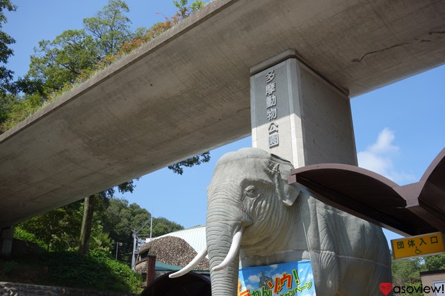 東京 動物園8選 都内近郊の無料 人気動物園まとめ