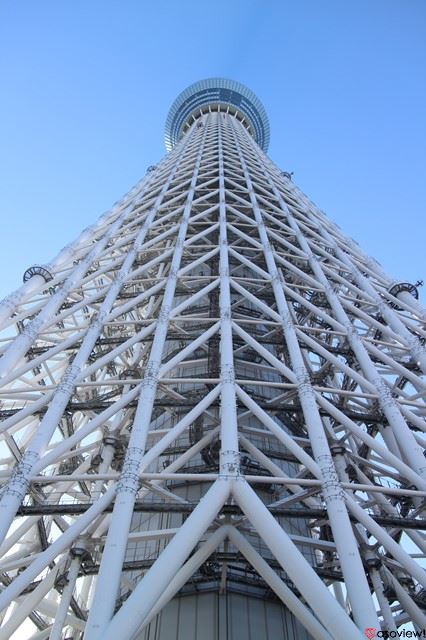 すみだ水族館の魅力を徹底解剖 割引や混雑情報 おすすめスポットなど知りたい情報まとめ