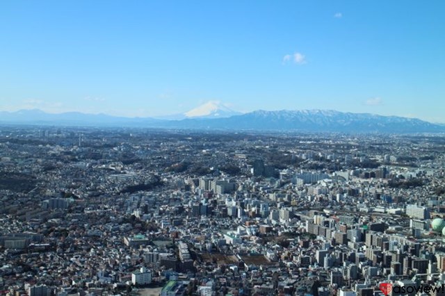 横浜 観光選 カップルから歴史好きまで満足 横浜で見るべき 行くべきスポット一挙紹介