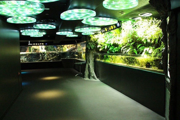 池袋 サンシャインシティ徹底解説 展望台や水族館など見所満載