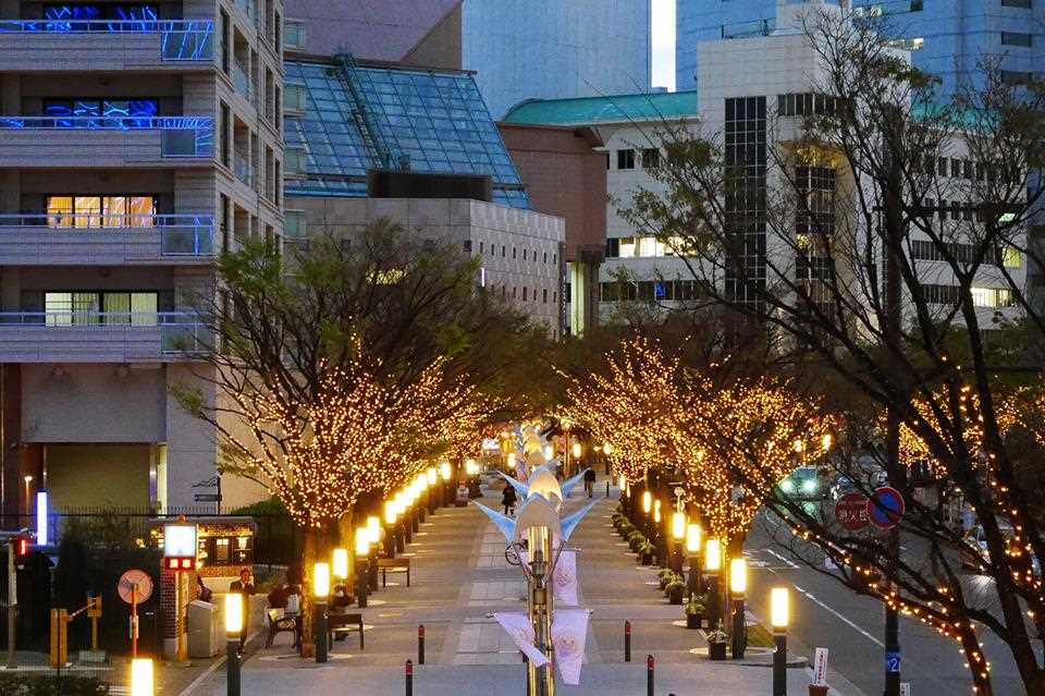 神戸 イルミネーション8選 16年神戸の冬を彩るイルミまとめ