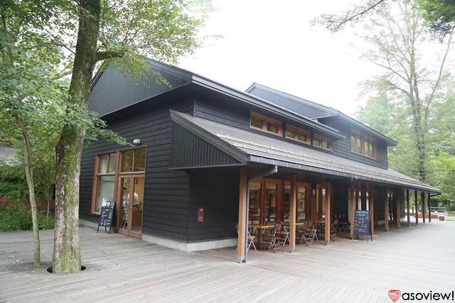 軽井沢のおすすめカフェ8選 高原や森の中で心地よい時間を過ごせるカフェを厳選