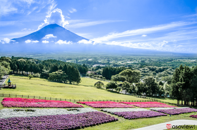 まかいの牧場でグランピング 日本一富士山が美しい牧場を賢く楽しむ方法 教えます Pr