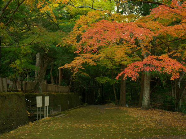 千葉の紅葉名所8選 東京からでも日帰りで行ける千葉県の紅葉スポット