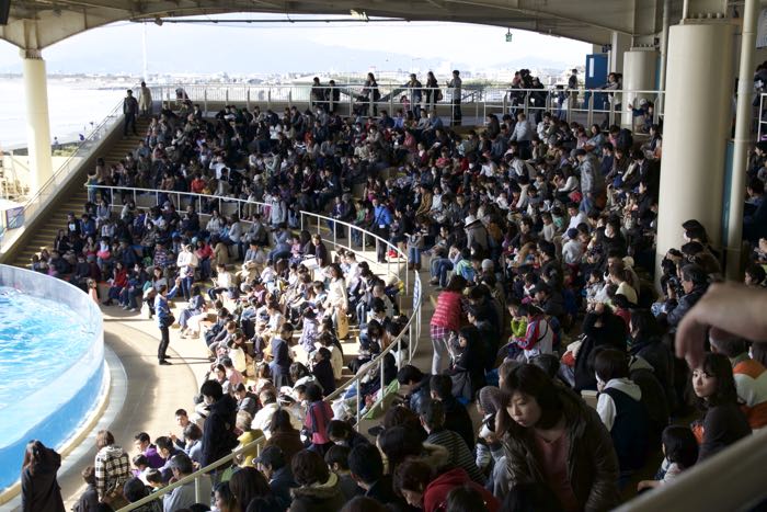 新江ノ島水族館 えのすい を徹底レポート 1 楽しむ方法