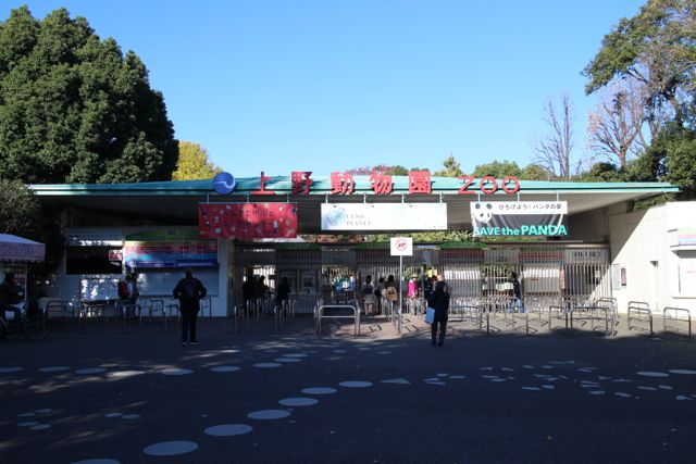 上野動物園 パンダに会う前に知っておきたい5つのポイントをご紹介