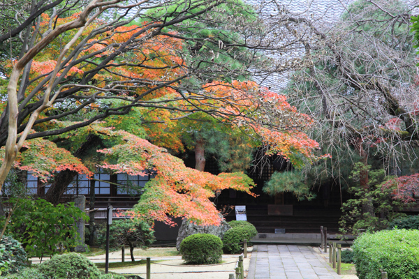 埼玉の紅葉スポットをエリアごとに紹介 都内から日帰りで行ける埼玉の紅葉11選