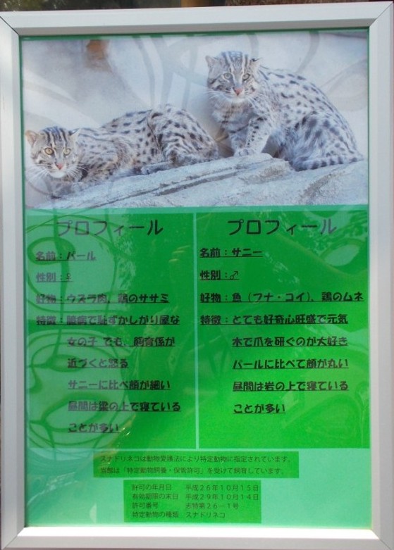 割引あり 鳥羽水族館の魅力を徹底解剖 ジュゴンやショーから料金 アクセスまでの完全ガイド