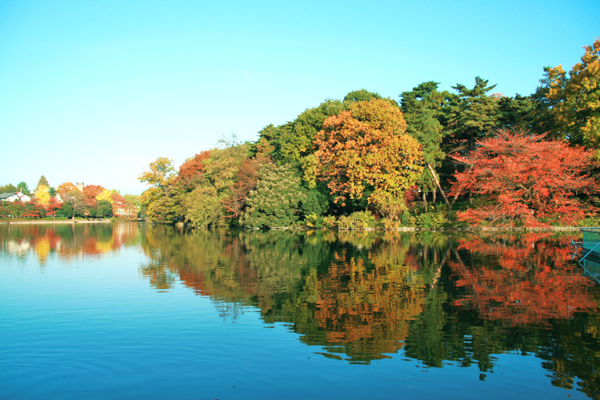 埼玉の紅葉スポットをエリアごとに紹介 都内から日帰りで行ける埼玉の紅葉11選