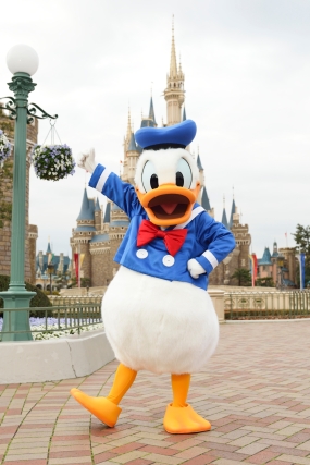 東京ディズニーランドのワールドバザールの入り口と、東京ディズニーシーのミラコスタ通りの入り口に、酉年にちなんだキャラクターのドナルドダックの飾り付けが施され