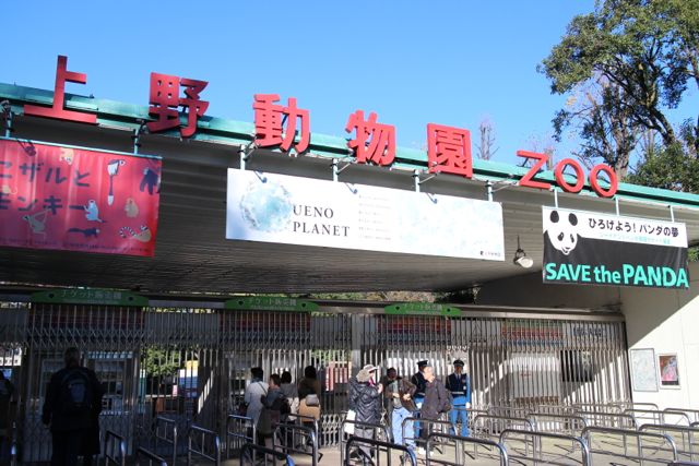 上野動物園を2時間で思いっきり満喫 時間がなくても楽しめる方法教えます