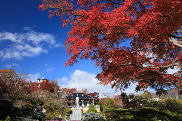 神奈川の紅葉スポットをエリアごとに紹介 横浜 鎌倉から箱根まで神奈川紅葉22選