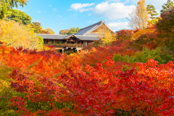 京都紅葉厳選15選 京都で紅葉狩りにおすすめの観光スポットまとめ