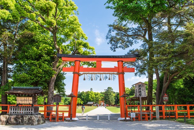 京都の神社 仏閣 おさえておきたい大定番スポット