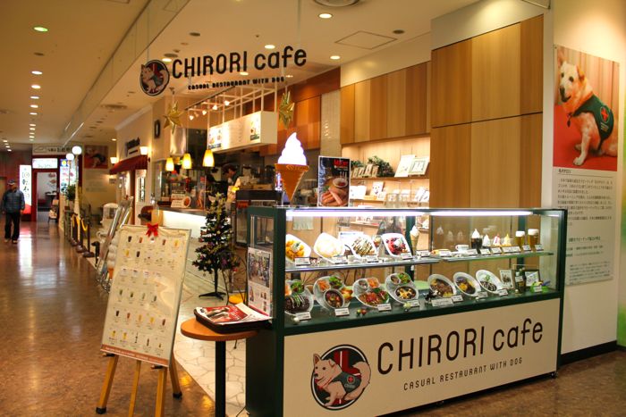 ヴィーナスフォート お台場 徹底攻略 話題のスポットから定番店まで
