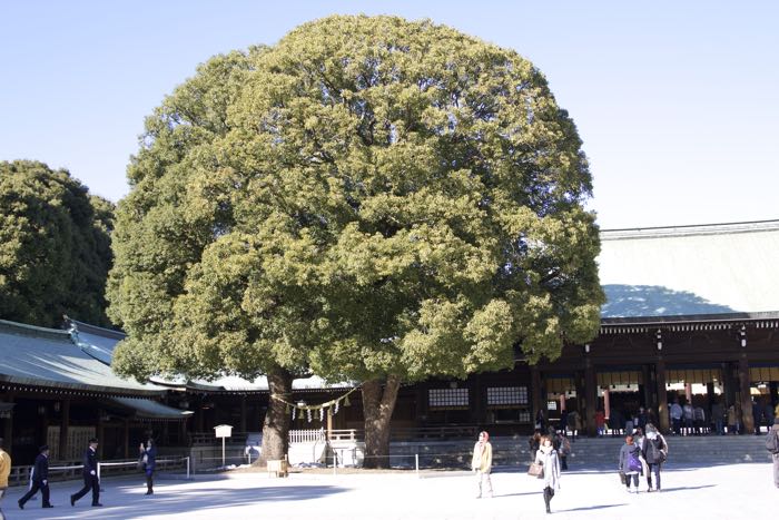 神宮内にあふれる 幸せのハート を探そう