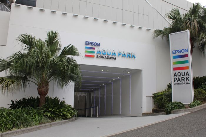 マクセル アクアパーク品川 最先端水族館の魅力体験レポート