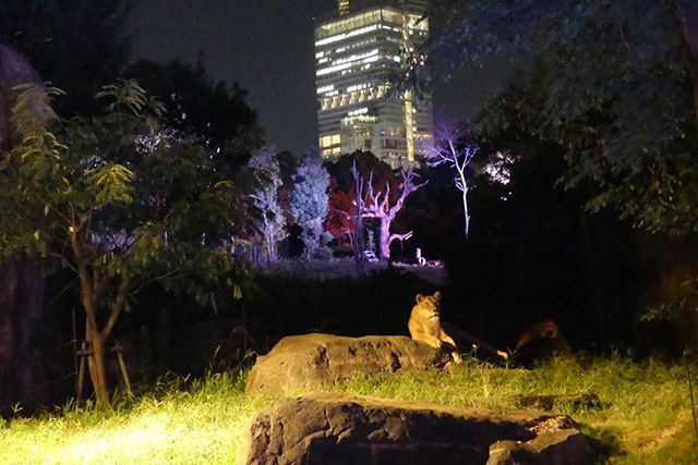 ここでしか会えない動物たちも 天王寺動物園でかわいい動物たちに癒される