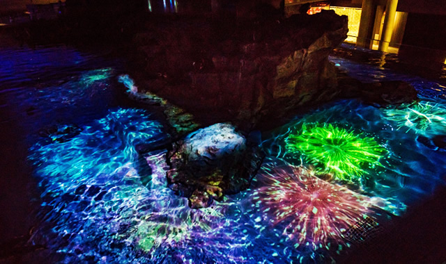 8 30まで 夏夜のすみだ水族館でペンギン 水中花火の共演 ペンギン花火 開催中