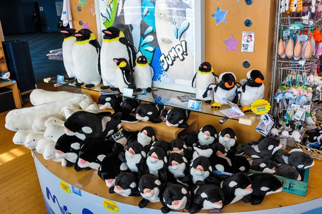 卸売り ペンギン ぬいぐるみ 名古屋港水族館 nascd.edu.bd