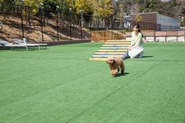 三河湾を望む海のテーマパーク ラグナシア を徹底レポート