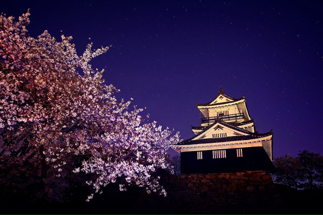 浜松城をとことん楽しむ 天守閣リニューアル後の見どころやライトアップを総まとめ