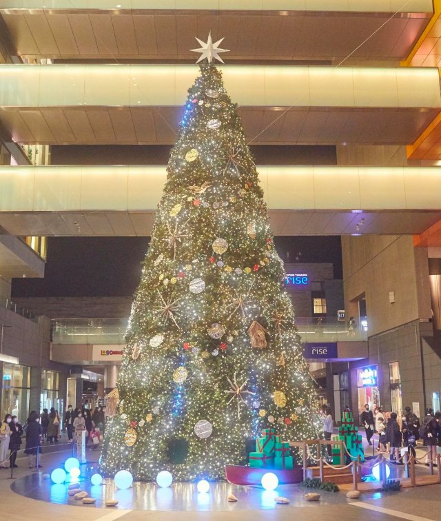 ショッピングモールが光の川に 巨大クリスマスツリー 光のスケート場が出現する 二子玉川ライズ で駅近ホリデーを楽しもう 東京