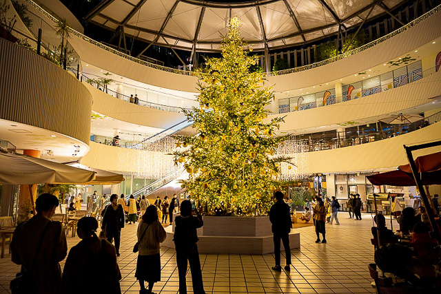 Pr 空から星が降り注ぐ 横浜駅きた東口直結イルミ ほしくずの森 を買い物と共に楽しもう