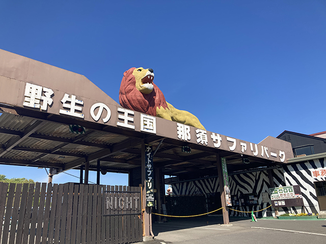 那須サファリパークの遊び方 所要時間を解説 ドキドキの体験や見どころは