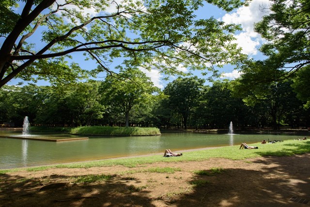 代々木公園で過ごすほっこり時間