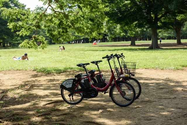 代々木公園で過ごすほっこり時間