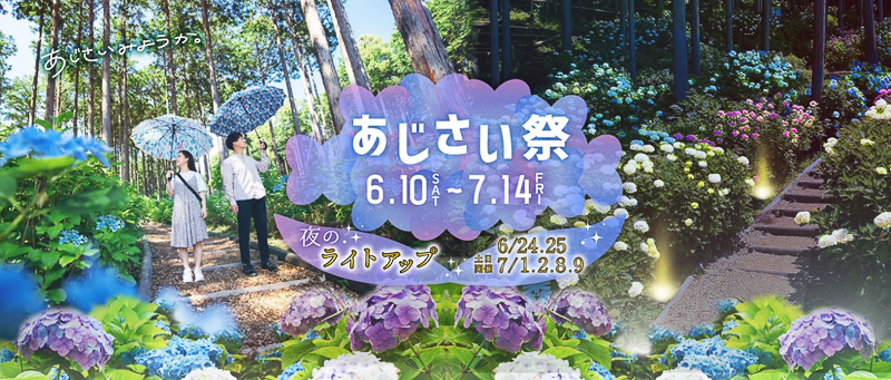 日本最長の吊り橋・三島スカイウォークで「あじさい祭」が開幕！世界で