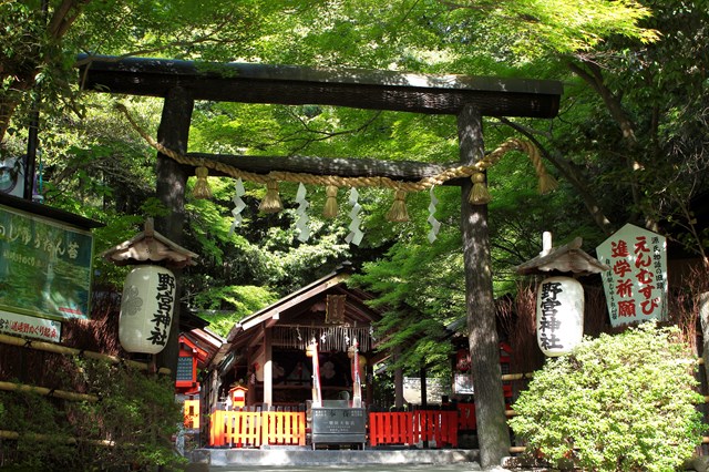 京都の神社 仏閣 おさえておきたい大定番スポット