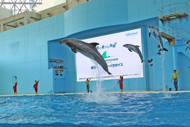 徹底取材 横浜 八景島シーパラダイスの魅力 デートやファミリーなど様々な楽しみ方を紹介