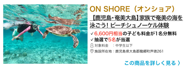 即決 屋外遊び放題1日引換券 グリーンピア大沼 土日祝 夏休み利用可 子供 送84円 卸直営 子供