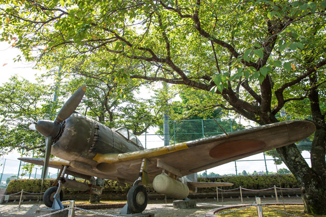 21年 鹿児島のおすすめ観光スポット16選 自然豊かな名所をご紹介