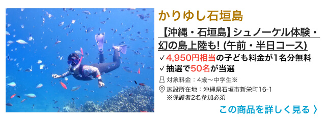 即決 屋外遊び放題1日引換券 グリーンピア大沼 土日祝 夏休み利用可 子供 送84円 卸直営 子供