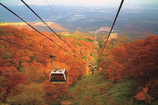 那須高原 観光スポット67選 牧場やグルメ 温泉を楽しもう