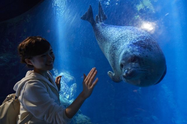 最新 大阪の水族館 動物園おすすめ6選 デートに超役立つ情報までご紹介します