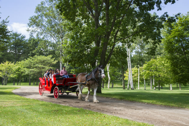 徹底解説 市川市動植物園の魅力 モルモットやレッサーパンダから料金やミニ鉄道の情報まで