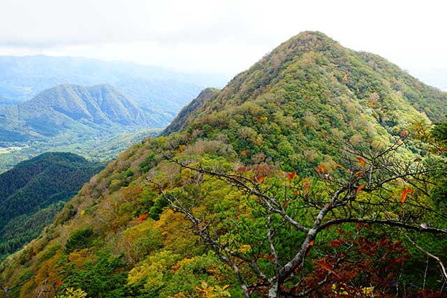 甲府のおすすめ観光スポット19選 武田信玄ゆかりの地をじっくり観光しよう