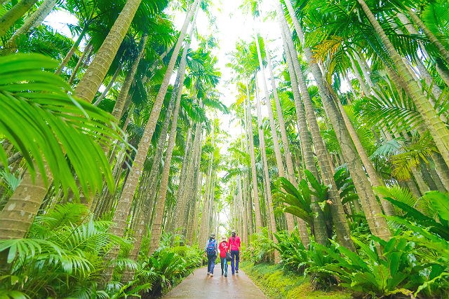 割引あり 東南植物楽園の魅力を徹底レポート イルミやデート おすすめスポットまで一挙紹介