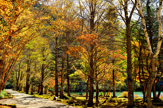 群馬の紅葉8選 東京から日帰りで行ける群馬県のおすすめ紅葉スポット