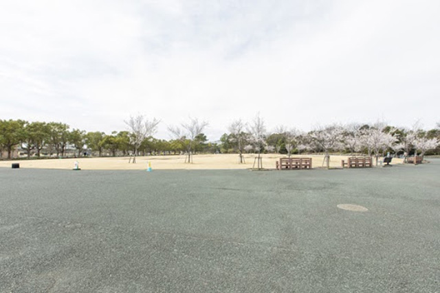 写真映えスポットもいっぱい】四季折々の花が咲き誇る！浜名湖ガーデン 