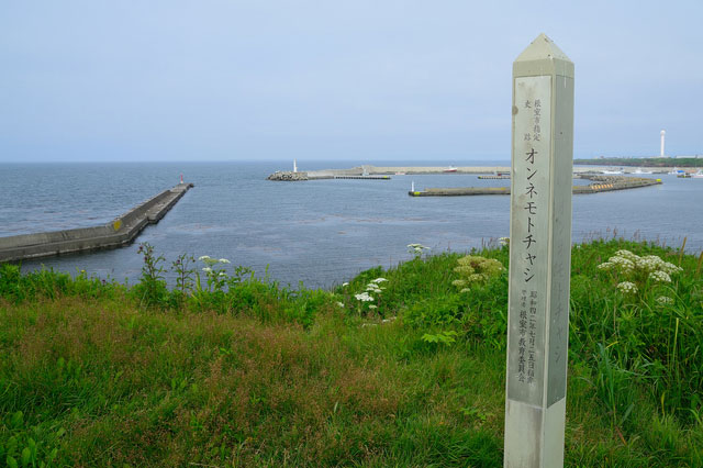 【2022年】根室の人気観光スポット13選！北海道ならではの絶景が楽しめるスポット